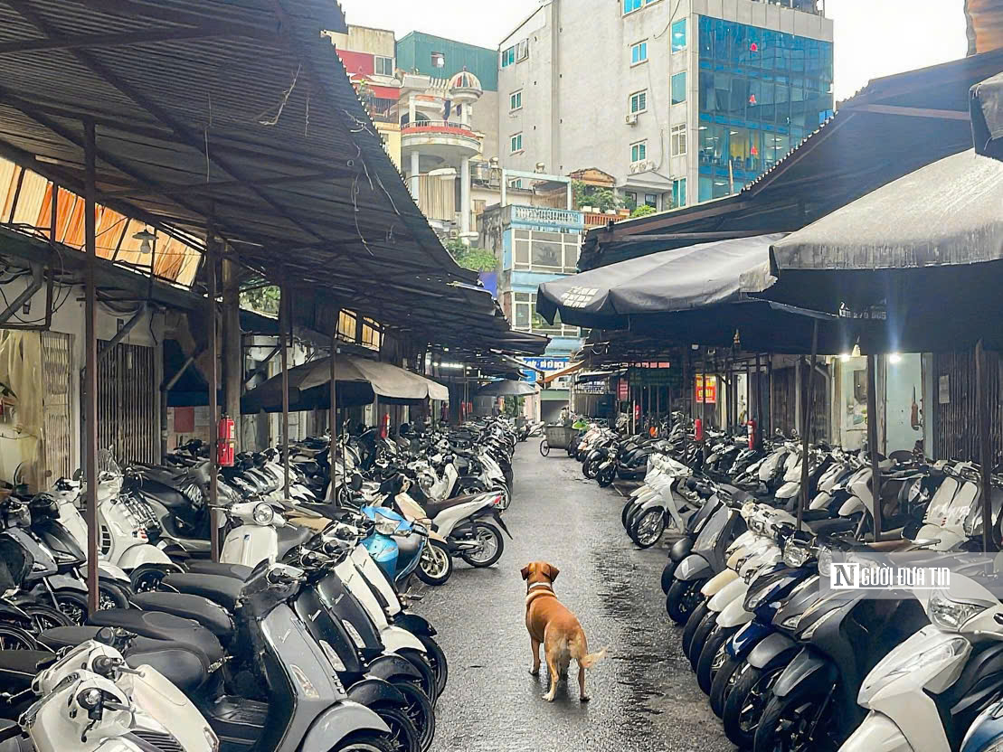 Xe máy cũ bán không ai mua, xe mới cũng “đứng hình” chờ chính sách- Ảnh 2. Xe máy cũ bán không ai mua, xe mới cũng “đứng hình” chờ chính sách- Ảnh 2.