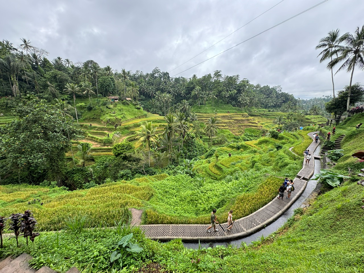 Bay thẳng từ Việt Nam đến Bali: Mở lối khám phá thiên đường du lịch Indonesia - Ảnh 1.