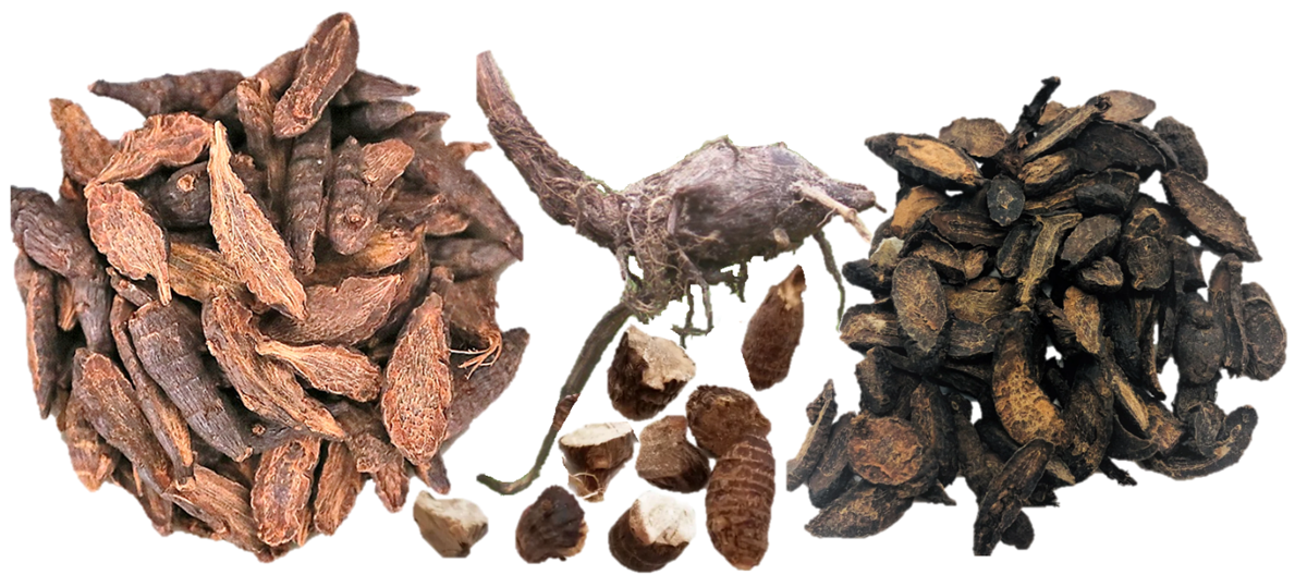 Loại cây "kẻ thù nhà nông" trước cho không ai lấy nay nhổ về bán 350.000 đồng/kg - Ảnh 3.