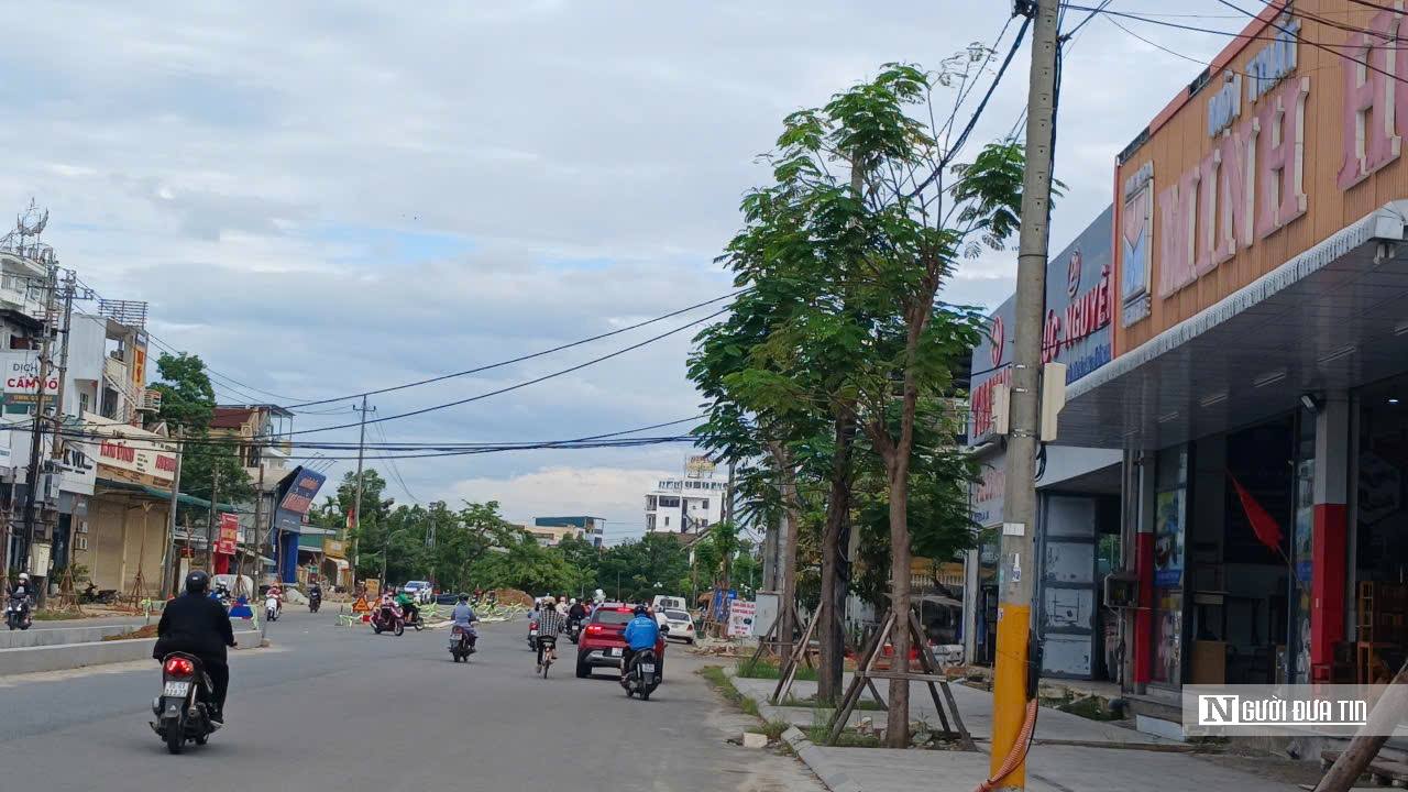 Vì sao cây phượng dễ bị gãy đổ trong mùa mưa bão vẫn được chọn để trồng trên đường Phạm Văn Đồng- Ảnh 2.