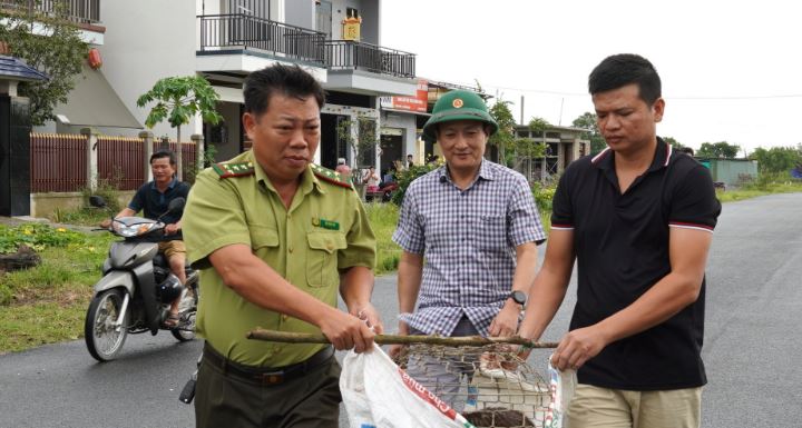 Đi đánh cá, người đàn ông bắt được loài vật quý hiếm có trong Sách Đỏ Việt Nam - Ảnh 1.