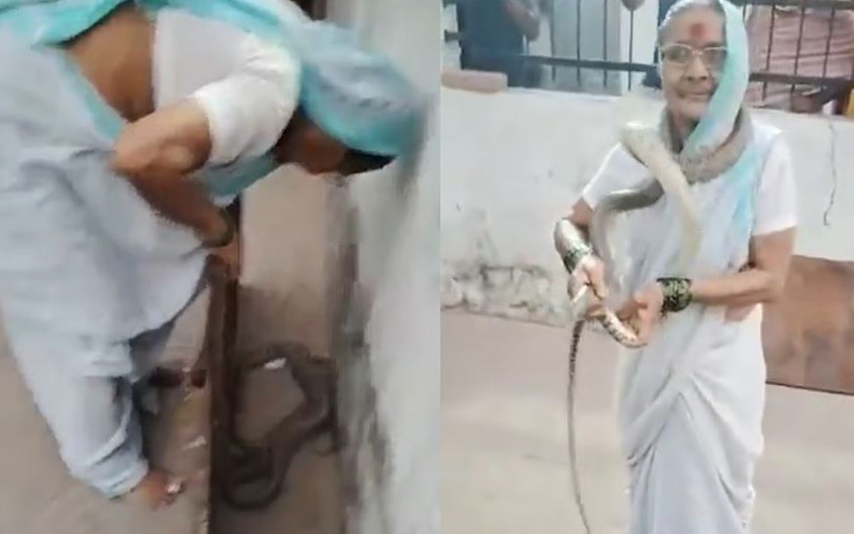 Nhìn xuống gầm xe, cảnh sát chứng kiến cảnh tượng đáng sợ - Ảnh 1.