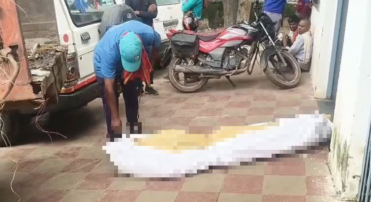 Phát hiện "bí mật" đáng sợ trên chiếc xe chở rác- Ảnh 1. Phát hiện "bí mật" đáng sợ trên chiếc xe chở rác- Ảnh 1.