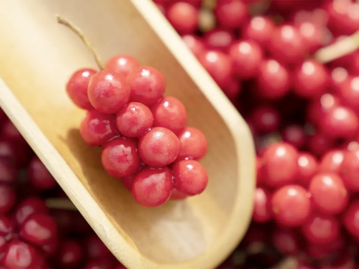 Loại quả dại xưa rụng đầy gốc không ai nhặt, nay lên đời giá 700.000 đồng/kg mang bán "hái ra tiền" - Ảnh 1.