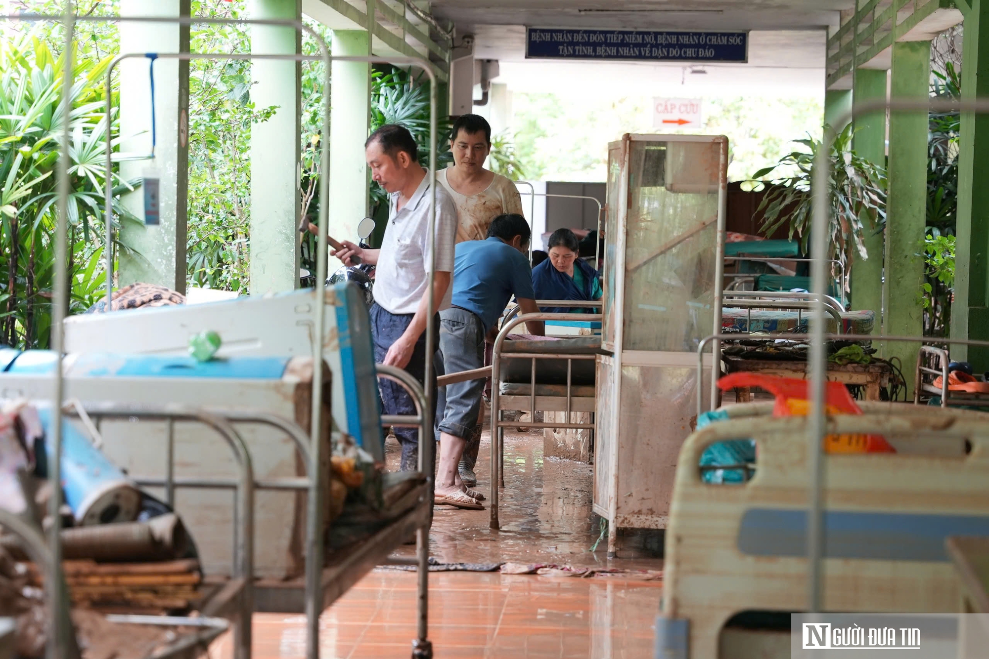 Tổ chức WHO hỗ trợ Nghệ An trong công tác phòng, chống dịch bệnh mùa mưa lũ. - Ảnh 3.