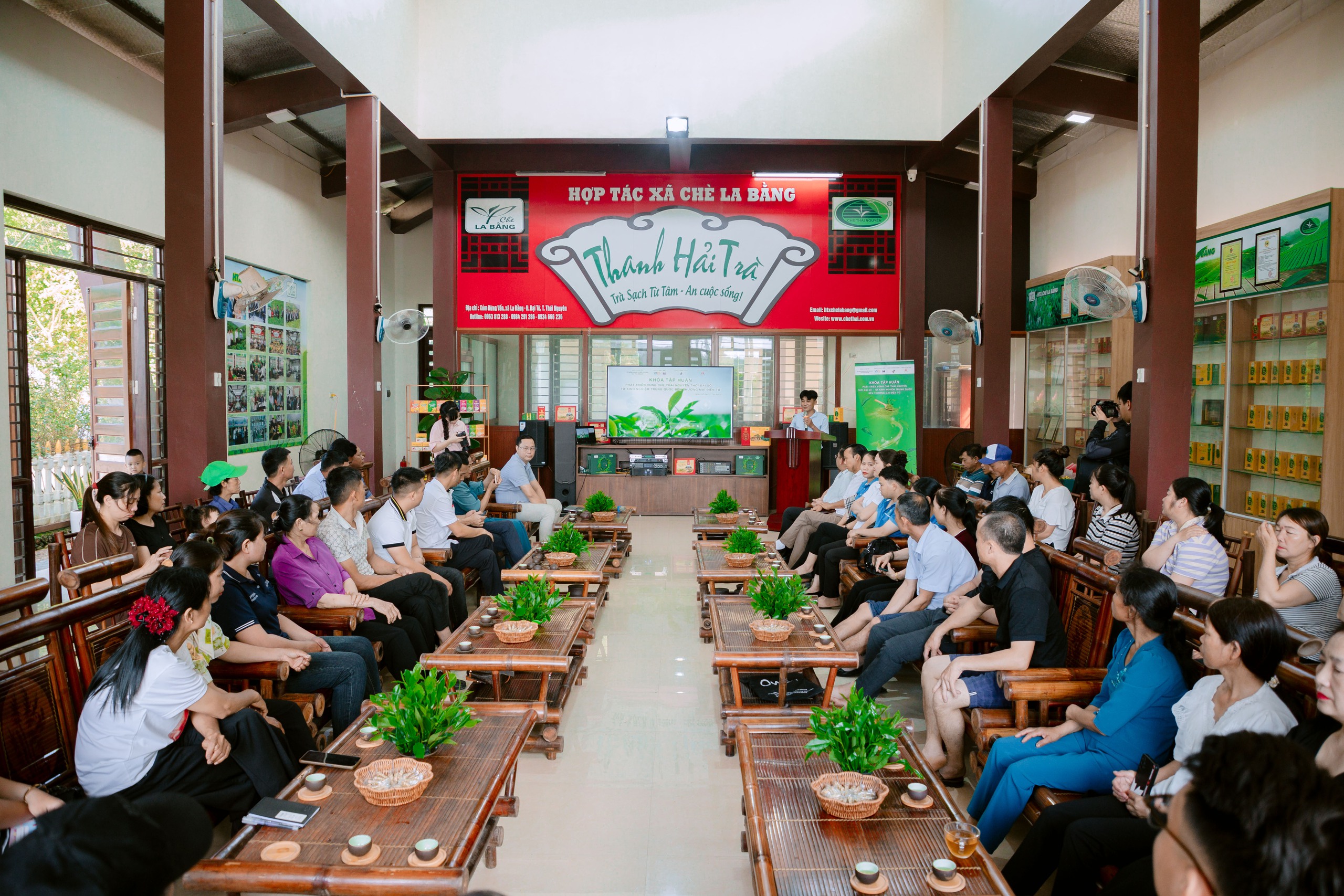 Người dân trồng chè ở La Bằng với niềm vui an cư- Ảnh 2. Người dân trồng chè ở La Bằng với niềm vui an cư- Ảnh 2.