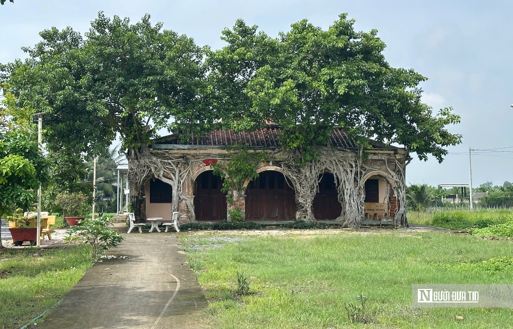 Chiêm ngưỡng ngôi đình “độc nhất vô nhị” nằm trọn trong lòng cây bồ đề cổ thụ- Ảnh 1.