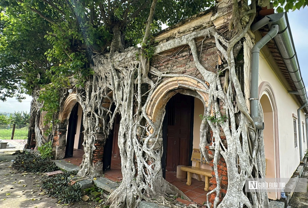 Chiêm ngưỡng ngôi đình “độc nhất vô nhị” nằm trọn trong lòng cây bồ đề cổ thụ- Ảnh 3.