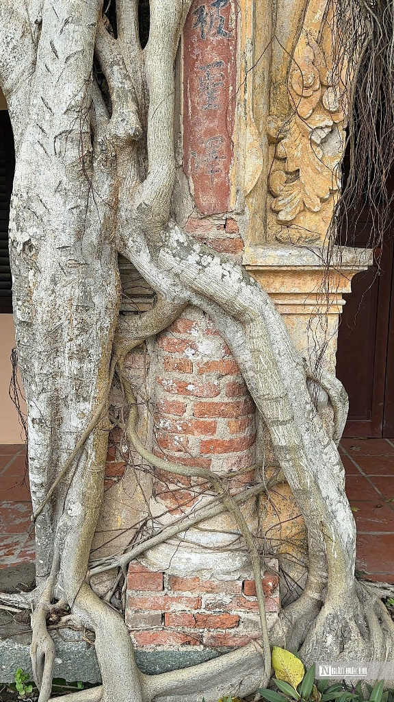 Chiêm ngưỡng ngôi đình “độc nhất vô nhị” nằm trọn trong lòng cây bồ đề cổ thụ- Ảnh 4.