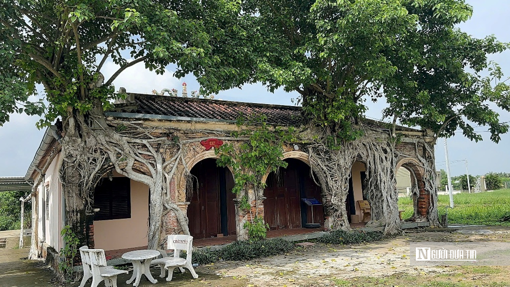 Chiêm ngưỡng ngôi đình “độc nhất vô nhị” nằm trọn trong lòng cây bồ đề cổ thụ- Ảnh 7.
