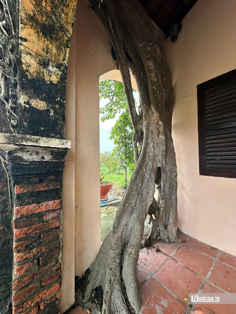 Chiêm ngưỡng ngôi đình “độc nhất vô nhị” nằm trọn trong lòng cây bồ đề cổ thụ- Ảnh 9.