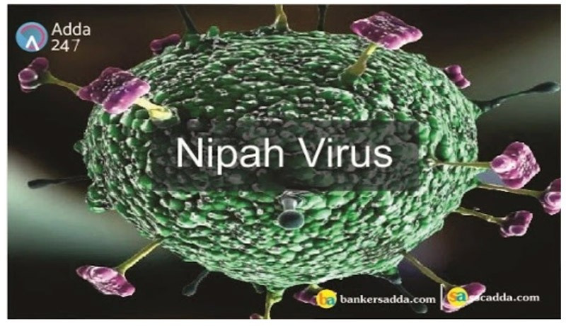 Virus Nipah mà 2 người ở Ấn Độ mắc phải nguy hiểm cỡ nào?- Ảnh 1. Virus Nipah mà 2 người ở Ấn Độ mắc phải nguy hiểm cỡ nào?- Ảnh 1.