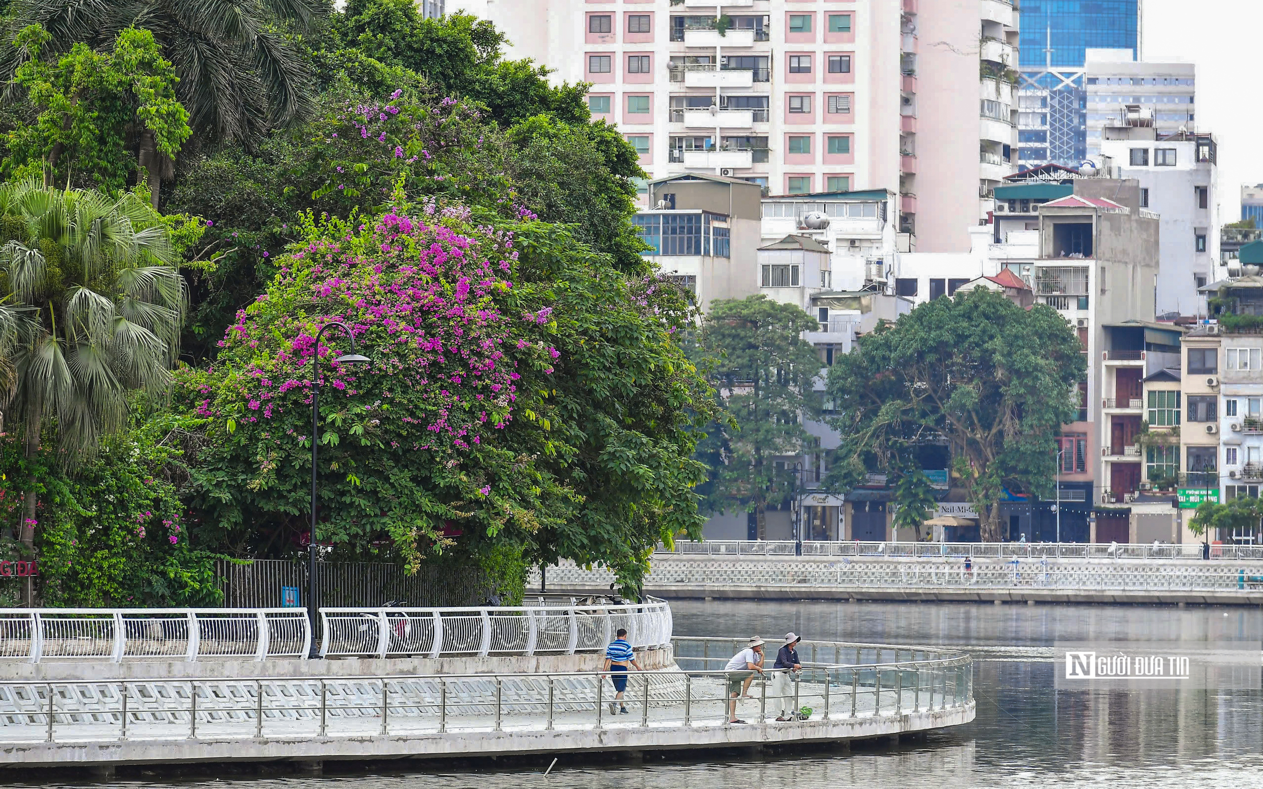 Hà Nội: Hồ Hoàng Cầu Hà Nội: Hồ Hoàng Cầu