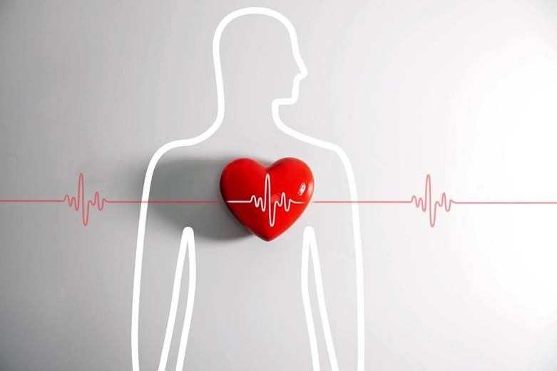 Chấm dứt rung nhĩ, ngăn ngừa đột quỵ: Giải pháp điều trị tiên tiến tại Bệnh viện FV- Ảnh 1. Only 13% of French adults have optimal heart health—here's what's driving the gap