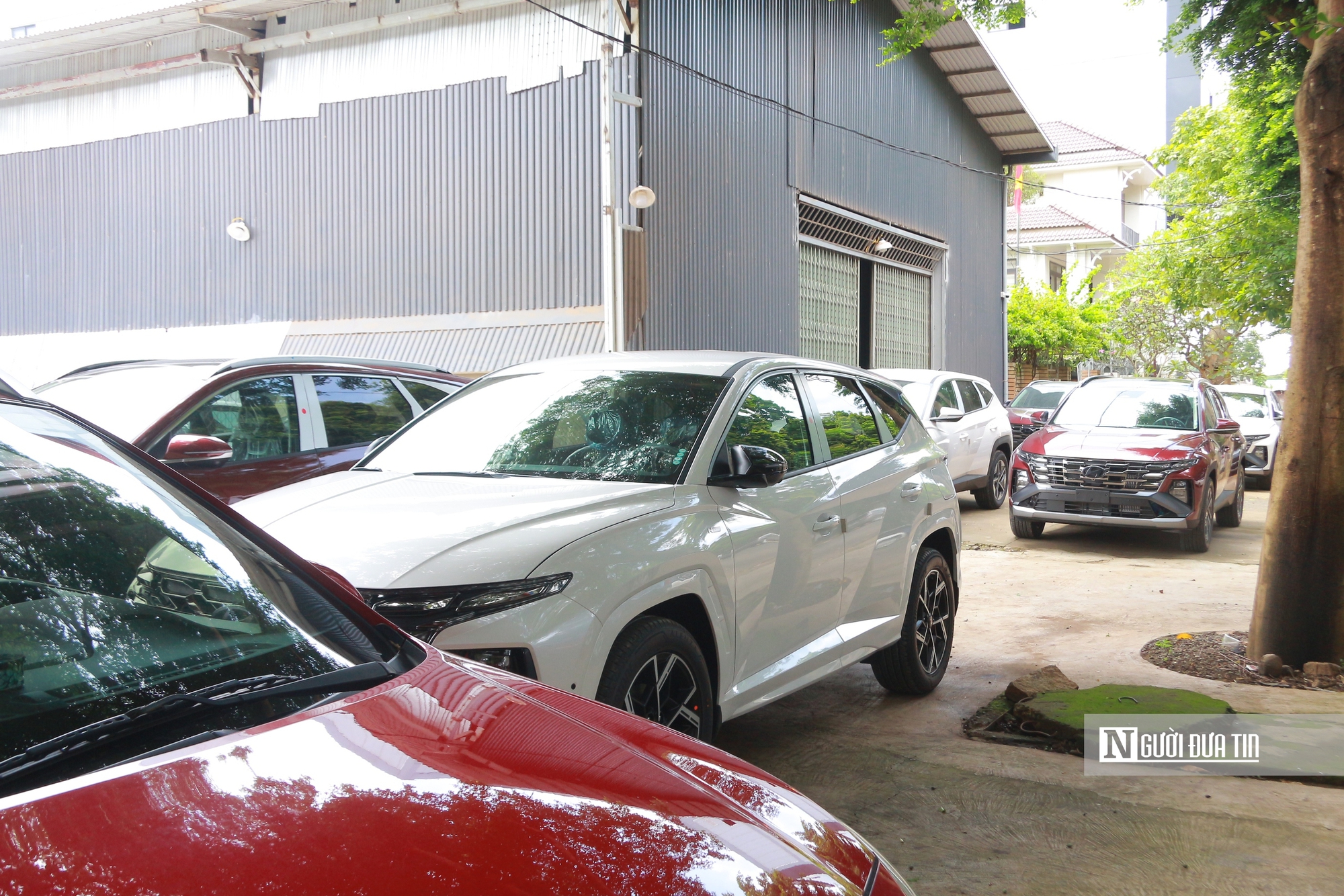Đắk Lắk kiên quyết xử lý tình trạng biến “đất vàng” thành nơi bày bán ô tô- Ảnh 8. Đắk Lắk kiên quyết xử lý tình trạng biến “đất vàng” thành nơi bày bán ô tô- Ảnh 8.