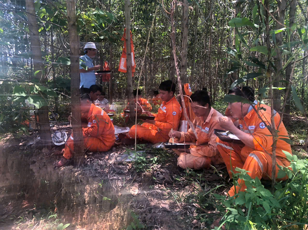 Công an vào cuộc vụ người dân chặt keo làm đứt đường dây điện 110KV - Ảnh 4. Công an vào cuộc vụ người dân chặt keo làm đứt đường dây điện 110KV - Ảnh 4.