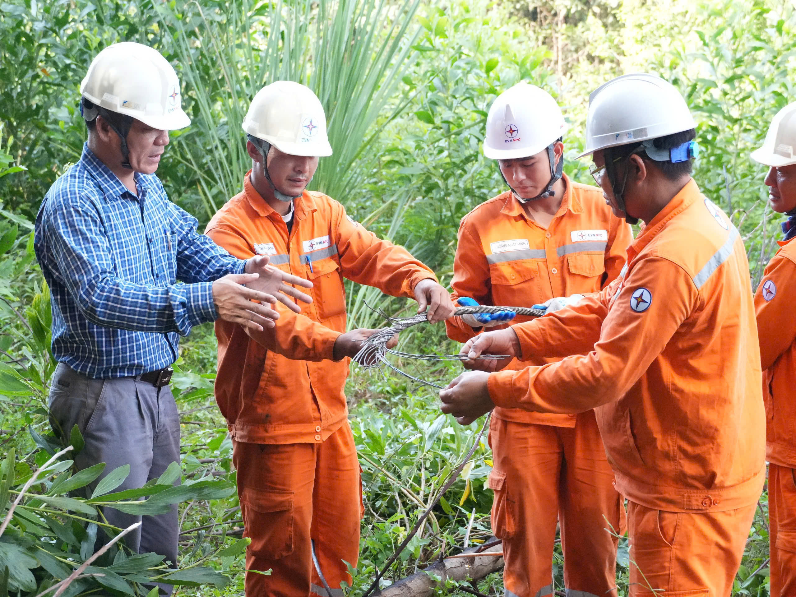 Công an vào cuộc vụ người dân chặt keo làm đứt đường dây điện 110KV - Ảnh 2. Công an vào cuộc vụ người dân chặt keo làm đứt đường dây điện 110KV - Ảnh 2.