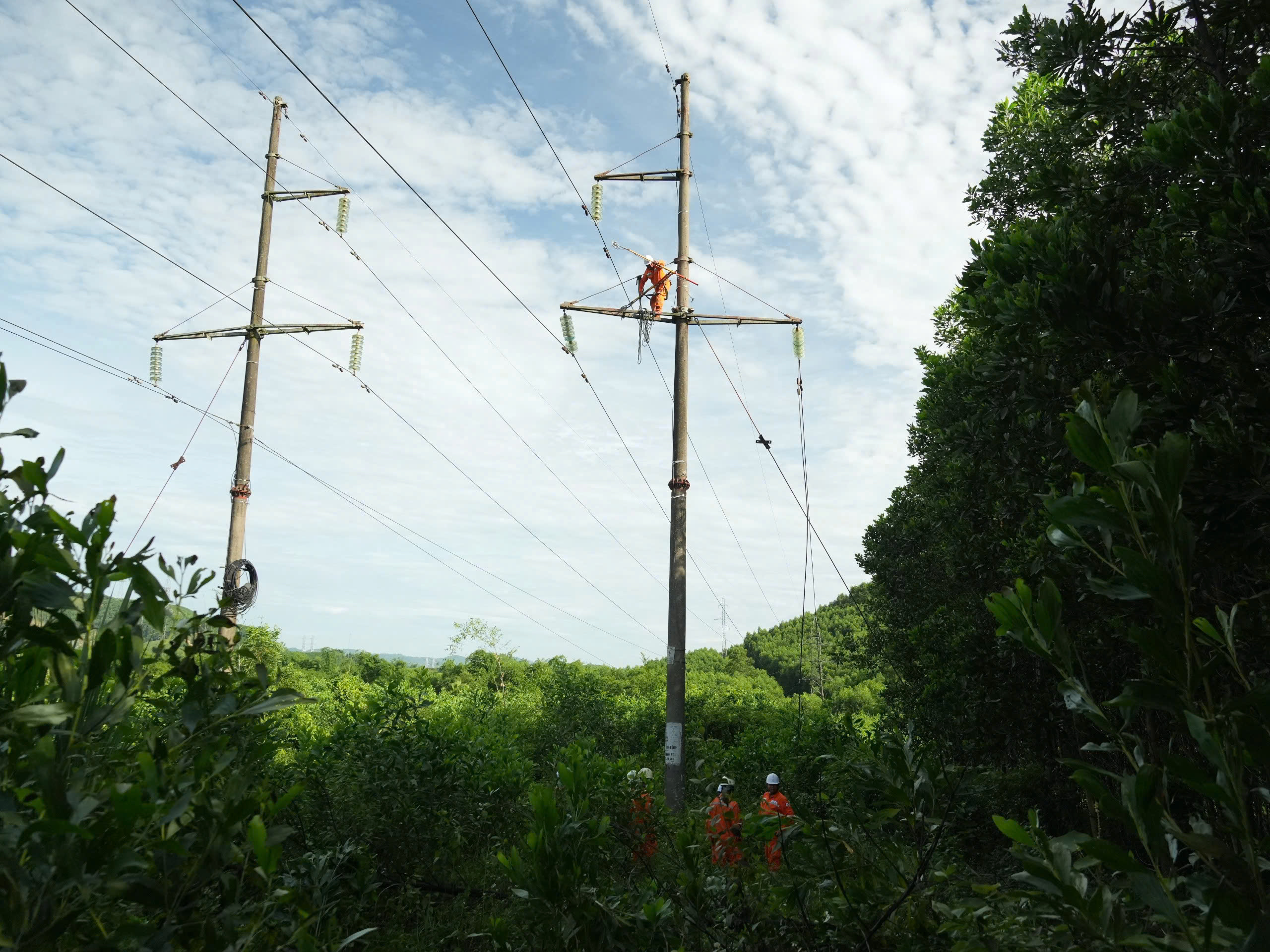 Công an vào cuộc vụ người dân chặt keo làm đứt đường dây điện 110KV - Ảnh 1. Công an vào cuộc vụ người dân chặt keo làm đứt đường dây điện 110KV - Ảnh 1.