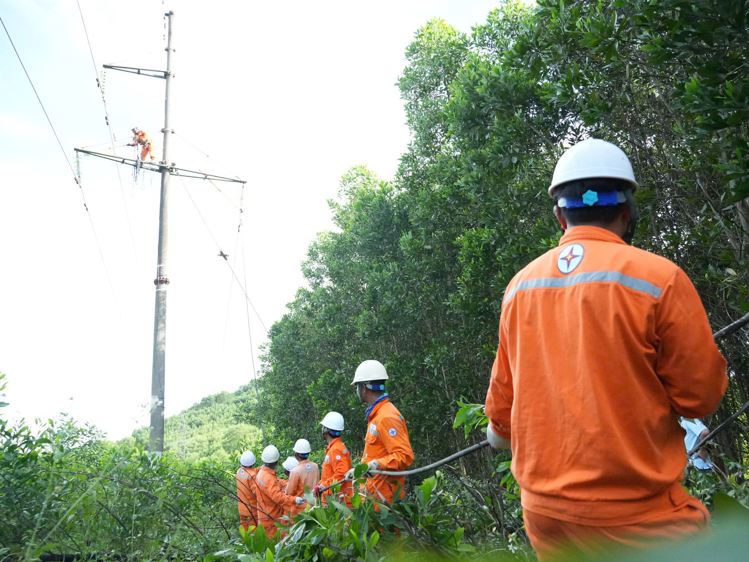Công an vào cuộc vụ người dân chặt keo làm đứt đường dây điện 110KV - Ảnh 3. Công an vào cuộc vụ người dân chặt keo làm đứt đường dây điện 110KV - Ảnh 3.