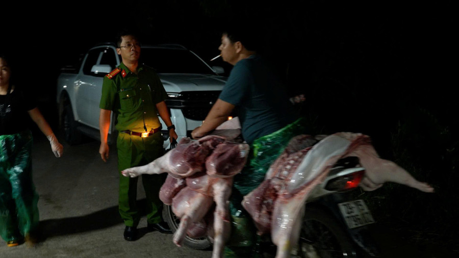 Triệt phá đường dây giết mổ, tiêu thụ thịt lợn nhiễm dịch tả lợn châu Phi - Ảnh 1. Triệt phá đường dây giết mổ, tiêu thụ thịt lợn nhiễm dịch tả lợn châu Phi - Ảnh 1.