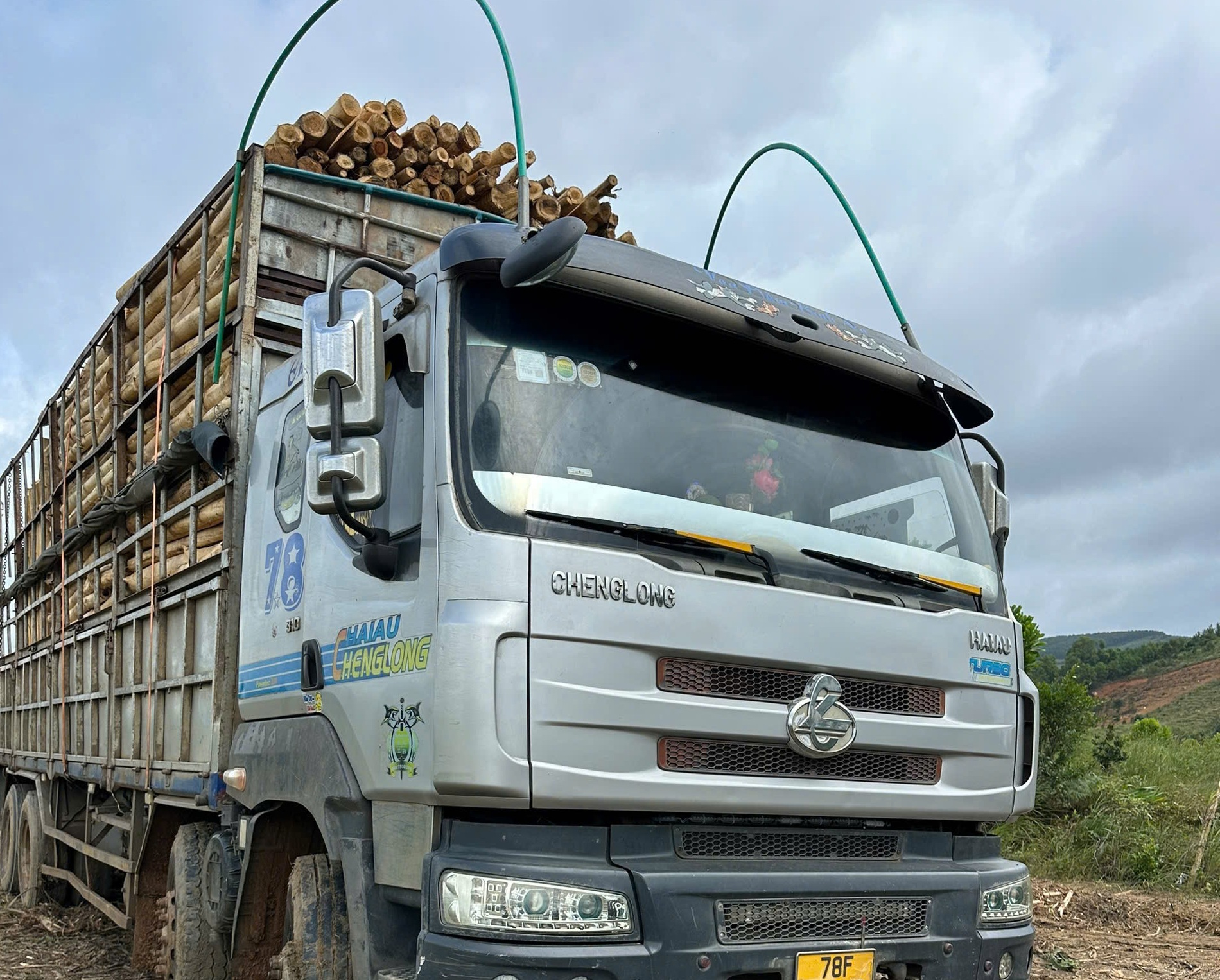 Xác minh vụ khai thác gỗ keo trong rừng trồng của Công ty Phúc Phong Gia Lai- Ảnh 3. Xác minh vụ khai thác gỗ keo trong rừng trồng của Công ty Phúc Phong Gia Lai- Ảnh 3.
