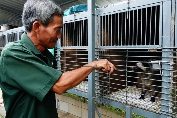 Cãi vợ nuôi con "đặc sản" dân nhậu thích mê, lão nông kiếm bộn tiền- Ảnh 1. Cãi vợ nuôi con "đặc sản" dân nhậu thích mê, lão nông kiếm bộn tiền- Ảnh 1.