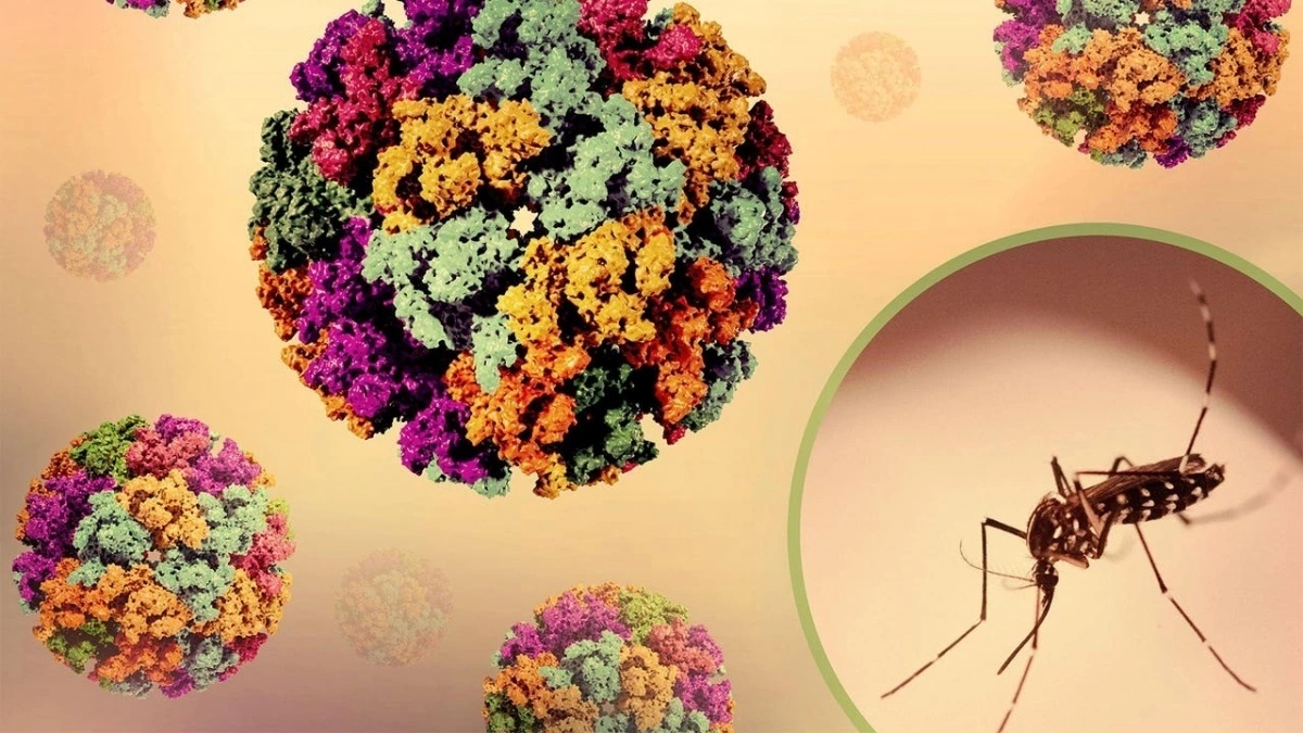 Dịch bệnh Chikungunya tăng tại nhiều nước, Bộ Y tế chỉ đạo khẩn - Ảnh 1.