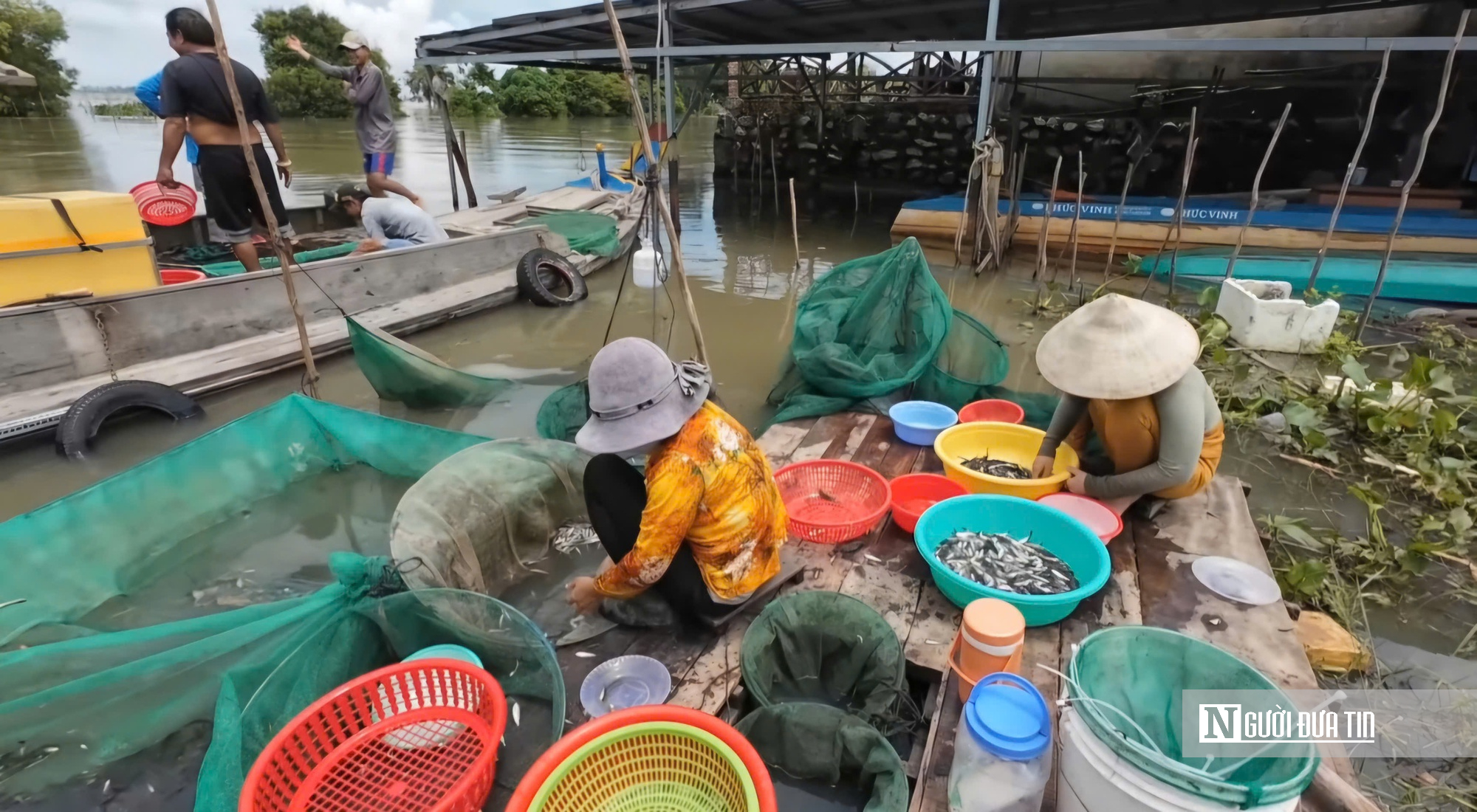 Đặc sản mùa nước nổi miền Tây- Ảnh 1. Đặc sản mùa nước nổi miền Tây- Ảnh 1.