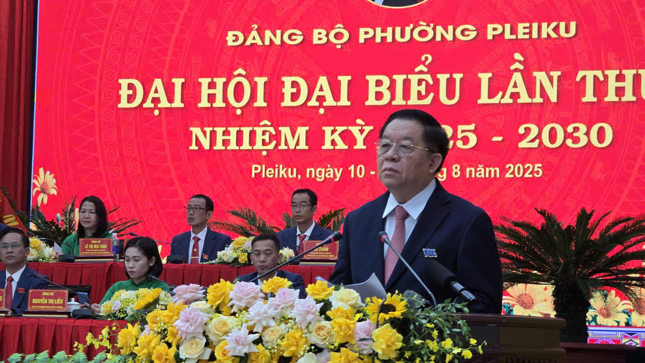 Đưa Pleiku trở thành vùng động lực của tỉnh Gia Lai mới- Ảnh 1.