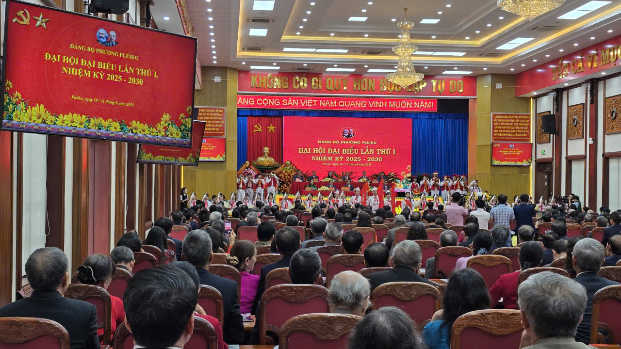 Đưa Pleiku trở thành vùng động lực của tỉnh Gia Lai mới- Ảnh 4.