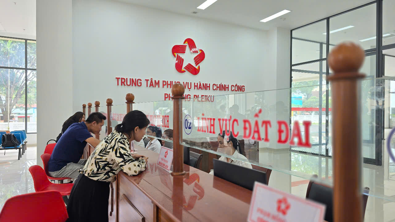 Đưa Pleiku trở thành vùng động lực của tỉnh Gia Lai mới- Ảnh 3.