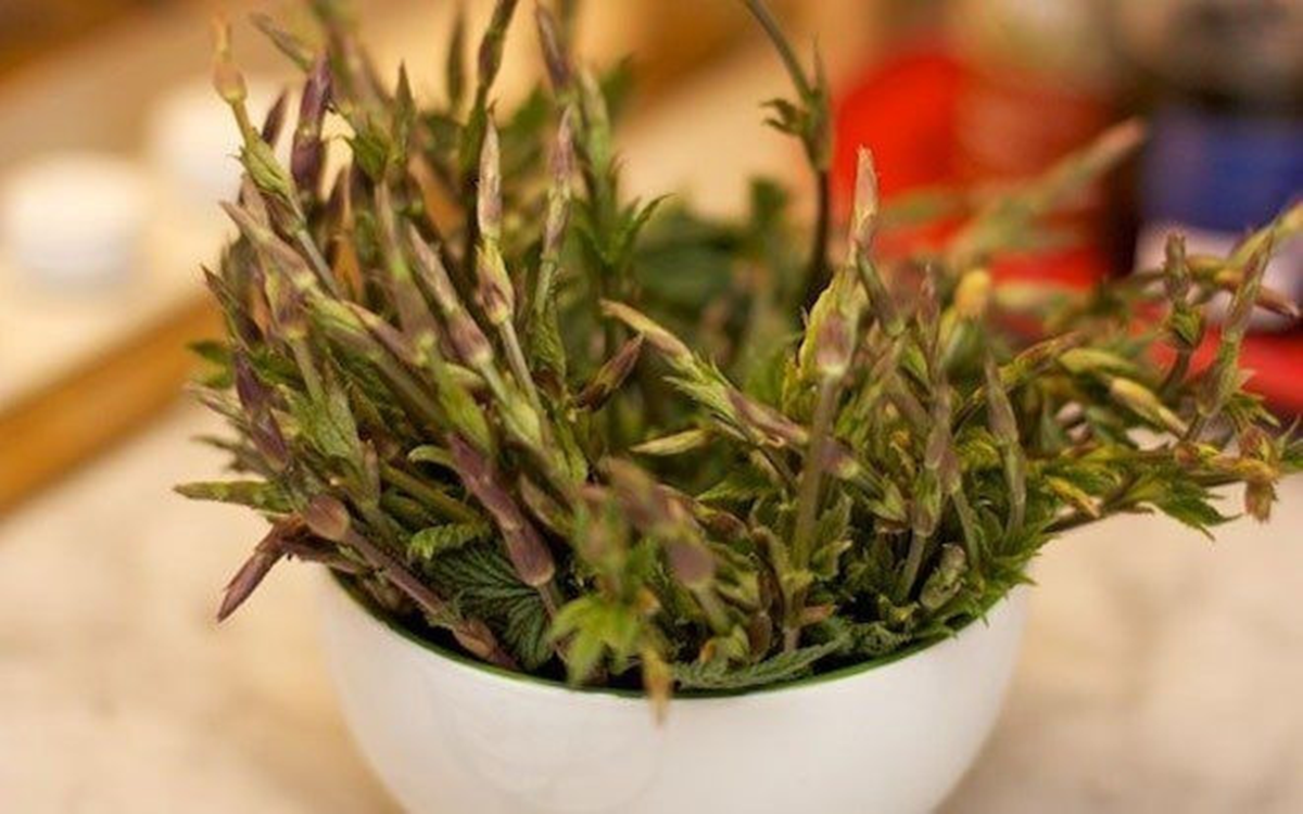 Loại rau dại từng ít người "ngó" đến, nay thành đặc sản 39 triệu đồng/kg - Ảnh 1.