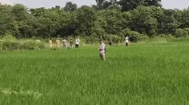 Đang làm ruộng, người đàn ông 65 tuổi bị hổ dữ vồ tử vong - Ảnh 1.