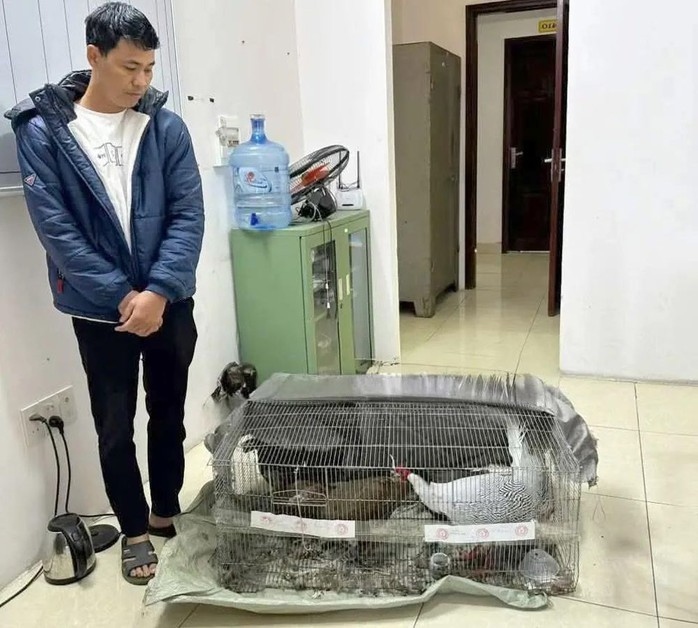 Vụ lĩnh 6 năm tù vì bán gà lôi trắng: Bị cáo Thái Khắc Thành được cho tại ngoại, cấm đi khỏi nơi trú- Ảnh 1. Vụ lĩnh 6 năm tù vì bán gà lôi trắng: Bị cáo Thái Khắc Thành được cho tại ngoại, cấm đi khỏi nơi trú- Ảnh 1.