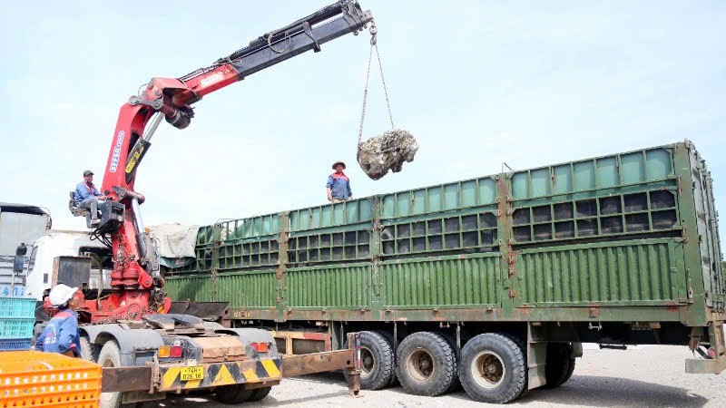 Cận cảnh xe chở vượt tải trọng 429% bị phạt hơn 300 triệu đồng- Ảnh 3.