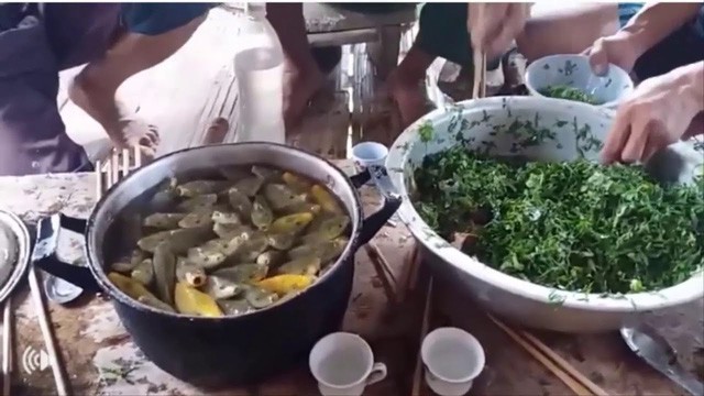 Ẩm thực sống của Việt Nam khiến nhiều người vừa tò mò vừa e sợ - Ảnh 1.
