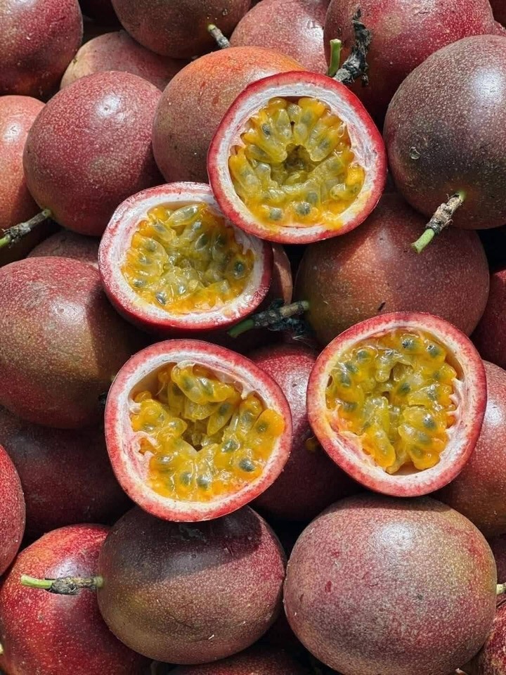Loại quả thuộc nhóm "tốt nhất thế giới", ở Việt Nam trồng bạt ngàn - Ảnh 1.