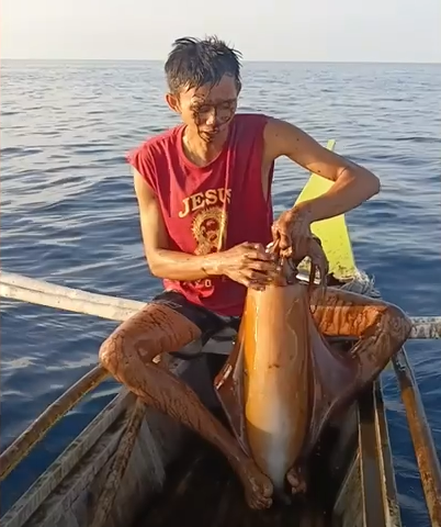 Điều bất ngờ xảy ra khi ngư dân khoe bắt được mực khổng lồ - Ảnh 1.