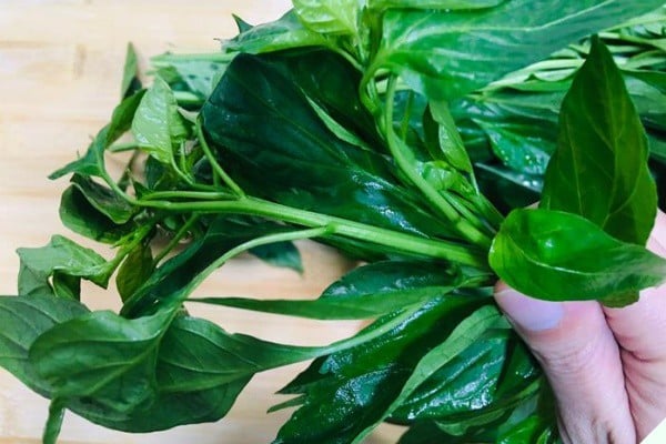 Đừng chỉ ăn quả, lá loại cây này quý như "nhân sâm người nghèo", ở quê mọc um tùm- Ảnh 1.