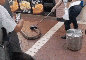Nhìn lên mái quán cà phê, người dân tái mặt khi chứng kiến cảnh tượng nổi da gà - Ảnh 2.