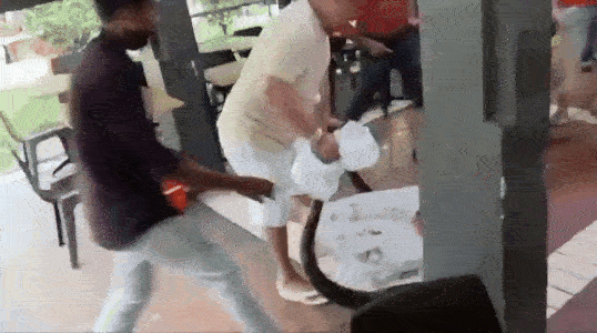 Nhìn lên mái quán cà phê, người dân tái mặt khi chứng kiến cảnh tượng nổi da gà - Ảnh 3.