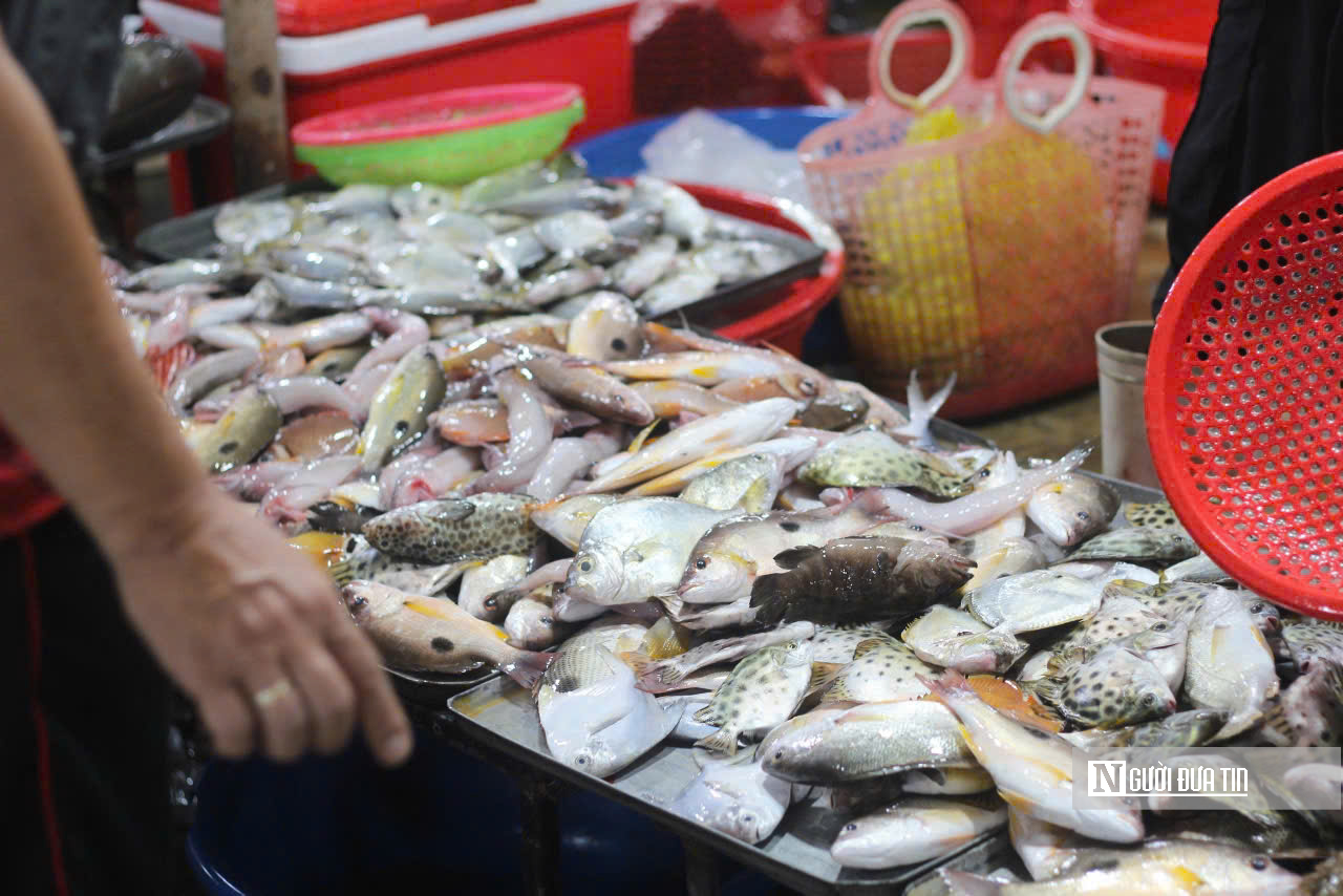 Trải nghiệm khung cảnh nhộn nhịp bến cá nổi tiếng nhất ở Nghệ An lúc bình minh- Ảnh 8.