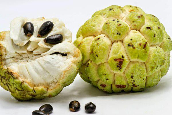 Quả na ngon nhưng có một phần "cực độc", biết mà tránh kẻo ngộ độc, mù mắt- Ảnh 1. Quả na ngon nhưng có một phần "cực độc", biết mà tránh kẻo ngộ độc, mù mắt- Ảnh 1.