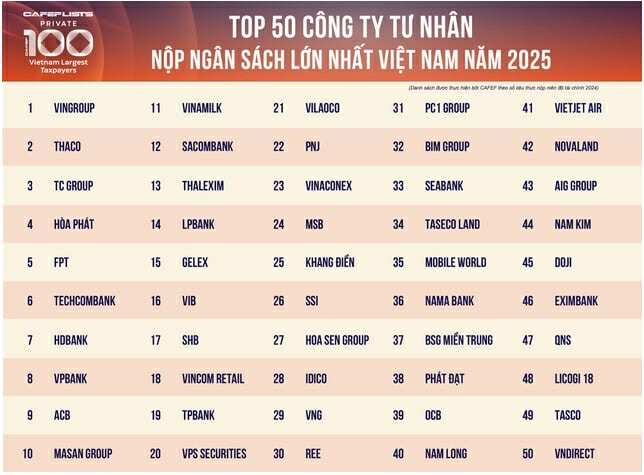 VNG lọt Top 29 doanh nghiệp tư nhân đóng thuế lớn nhất Việt Nam- Ảnh 1.