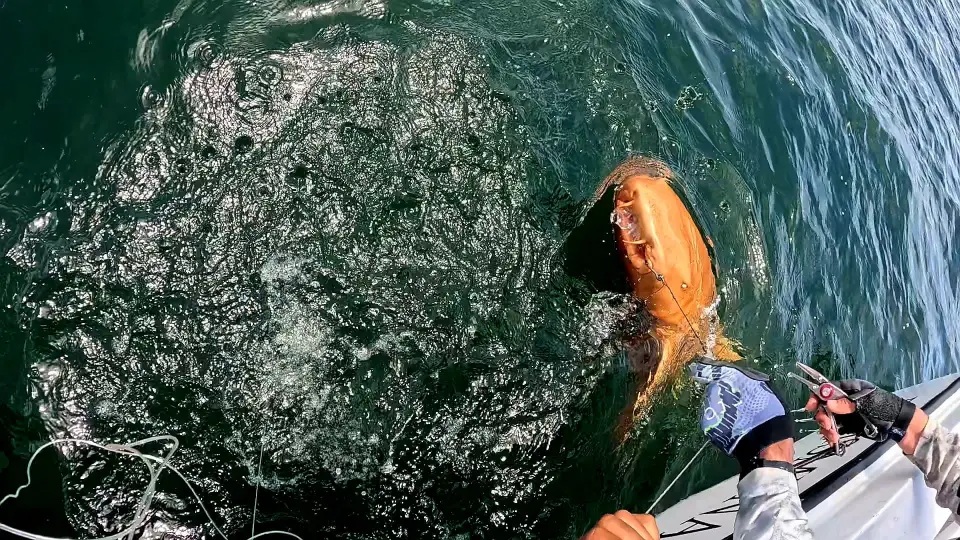 Ngư dân lần đầu câu được cá mập màu cam kỳ lạ với đôi mắt trắng ma quái - Ảnh 2.