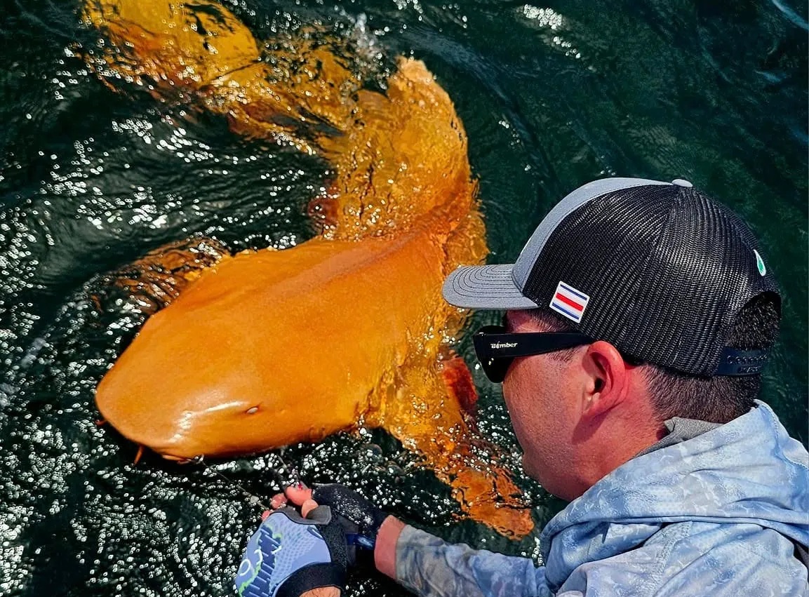 Ngư dân lần đầu câu được cá mập màu cam kỳ lạ với đôi mắt trắng ma quái - Ảnh 3.
