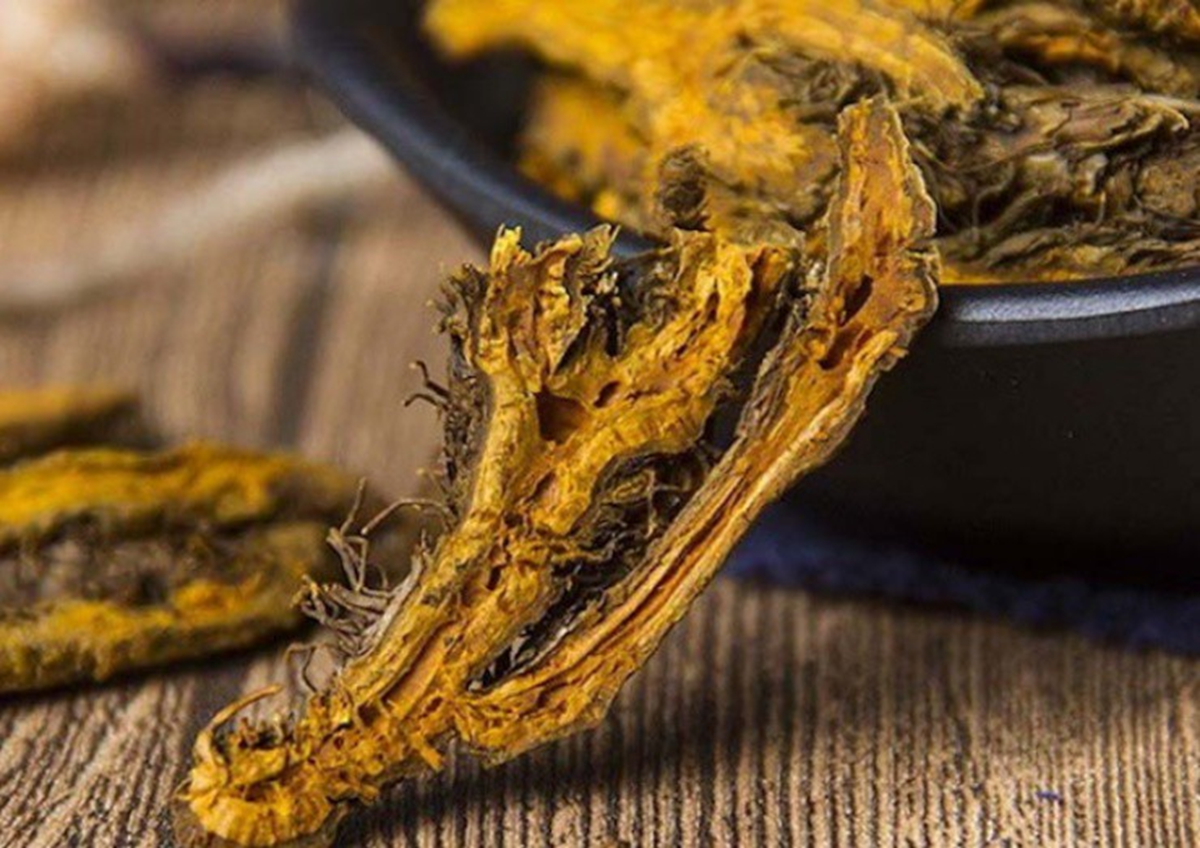 Loại cây dại trước ít ai "ngó", lên núi thấy nhổ về bán đút túi ngay hơn nửa triệu/kg - Ảnh 2.