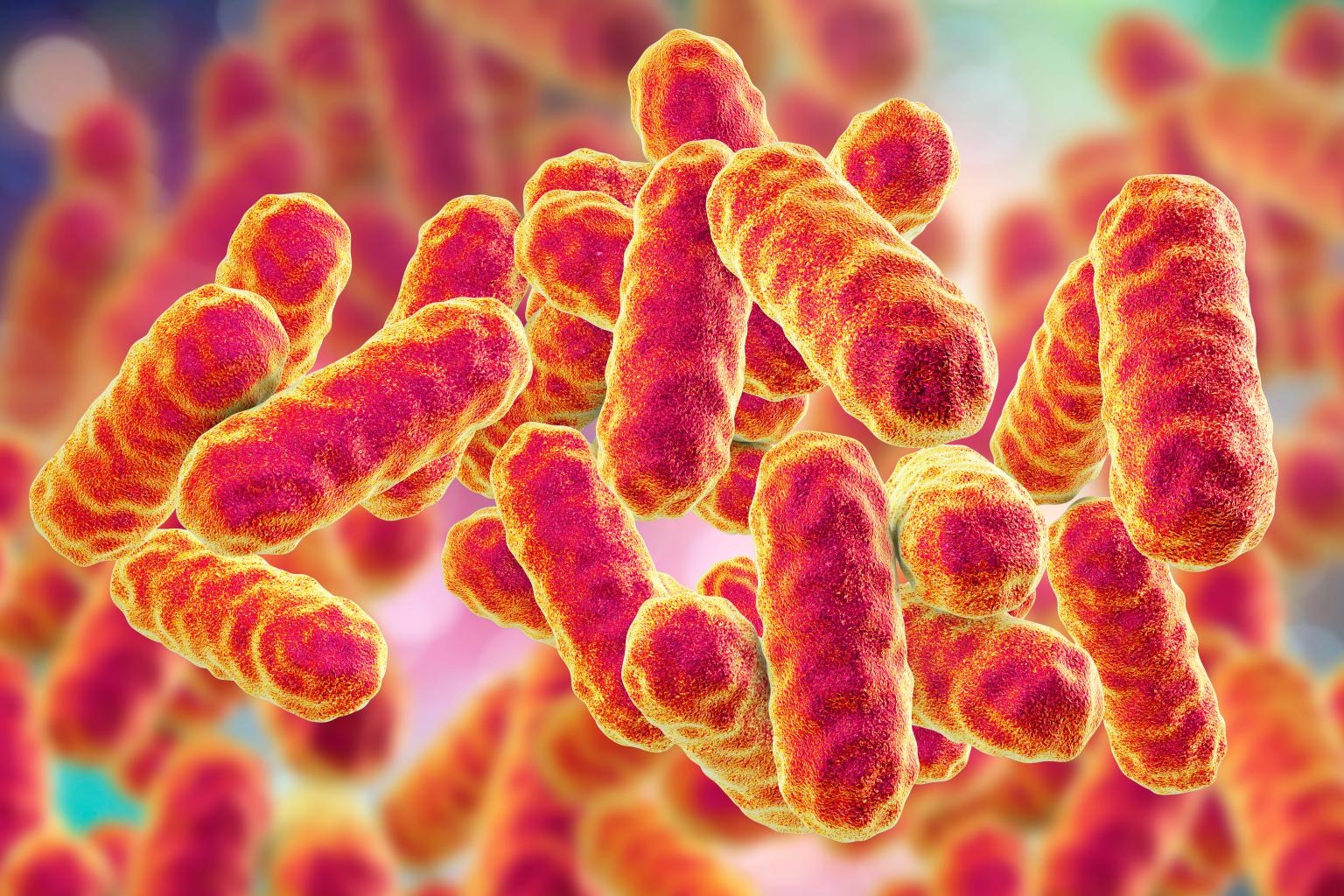 Hai trẻ sơ sinh tử vong tại bệnh viện, lý do bất ngờ - Ảnh 1.