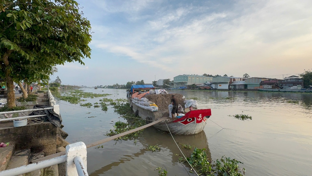 “Thủ phủ” hoa miền Tây hướng đến Festival Hoa lần thứ 2 - Ảnh 1.