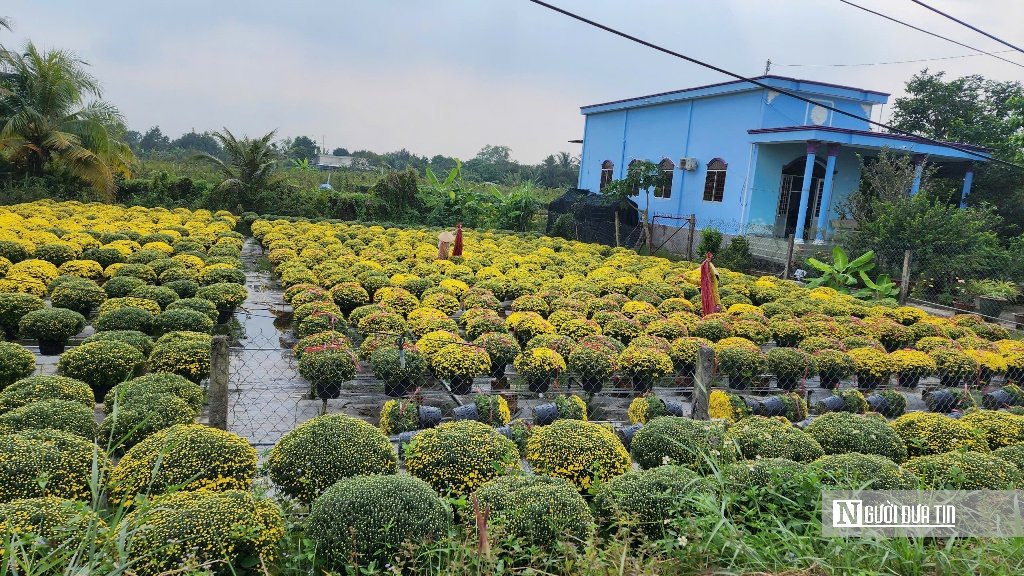 “Thủ phủ” hoa miền Tây hướng đến Festival Hoa lần thứ 2 - Ảnh 3.